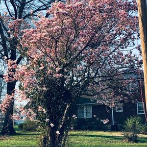 Meet your Posher, Steven